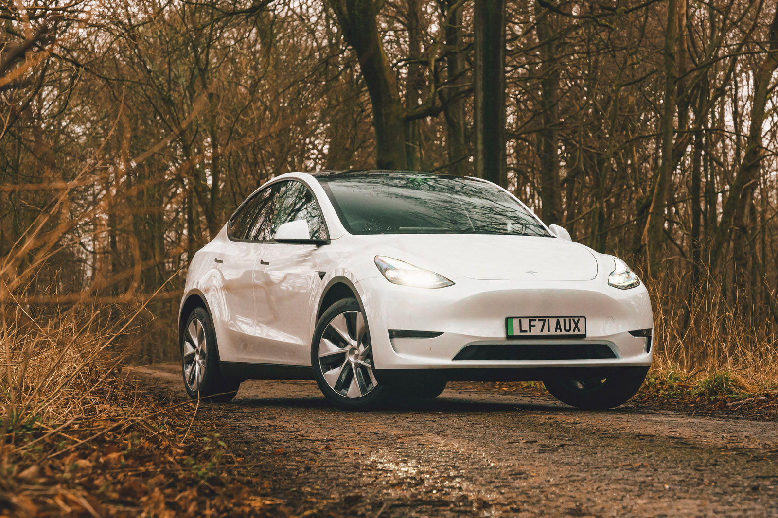 29 Tesla Model Y 2022 road test review static