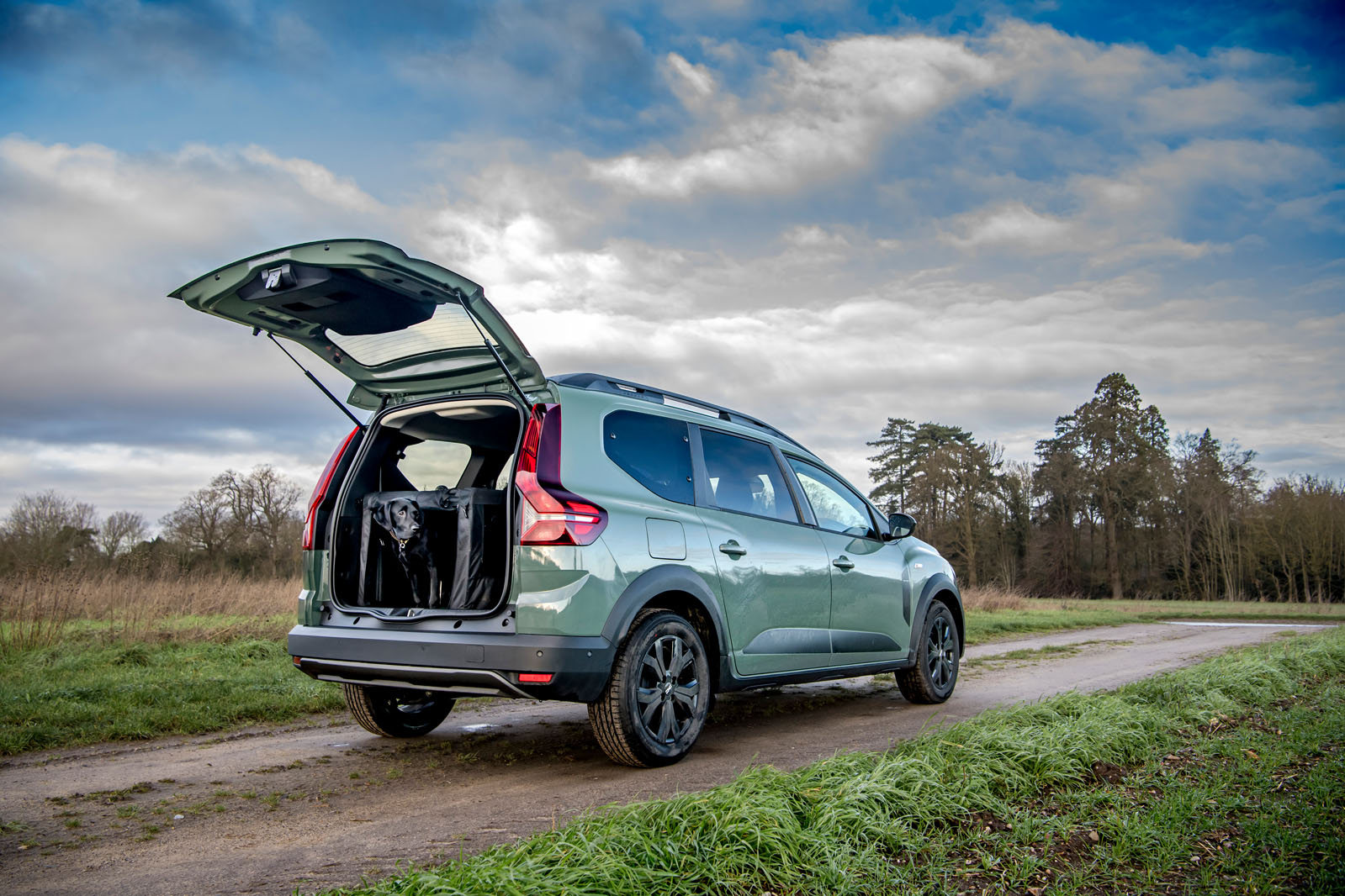 dacia jogger road test 2023 27 static dog