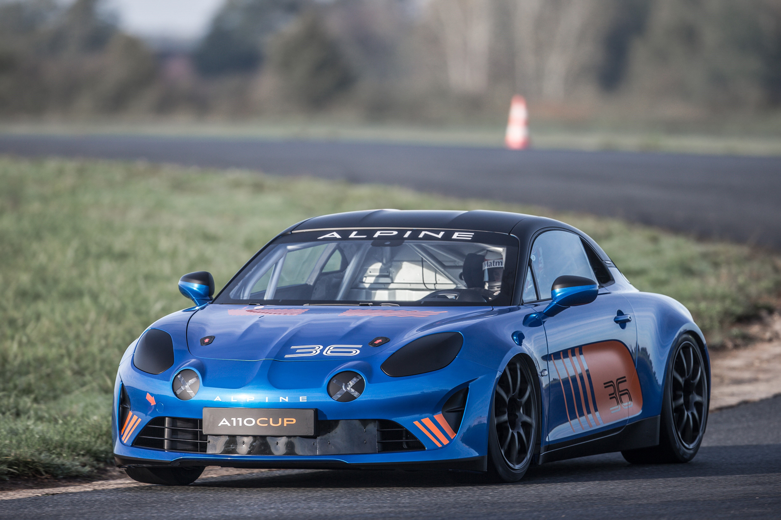 21198711   alpine cup