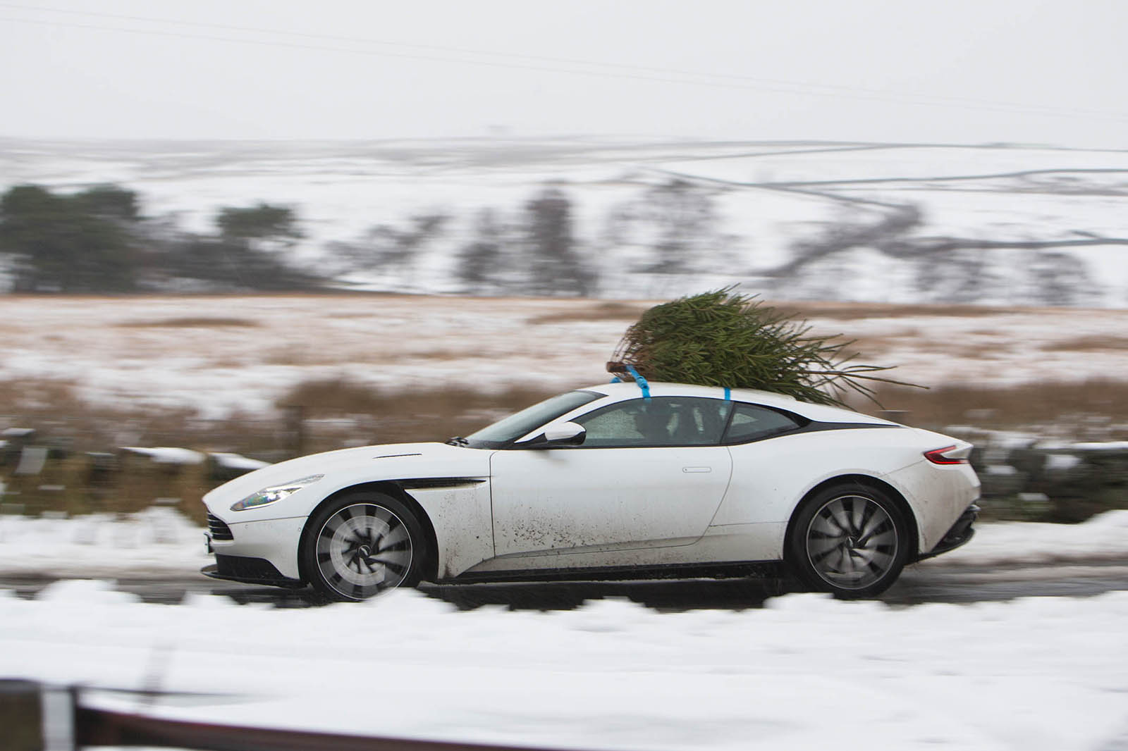 Aston xmas tree 90