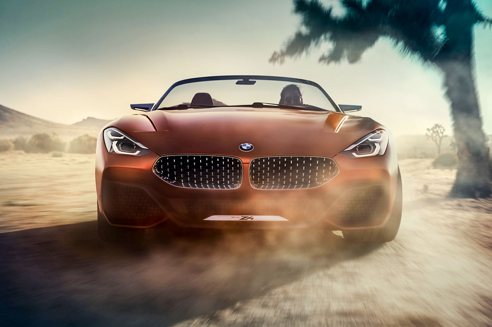 Bmw z4 2017 0085