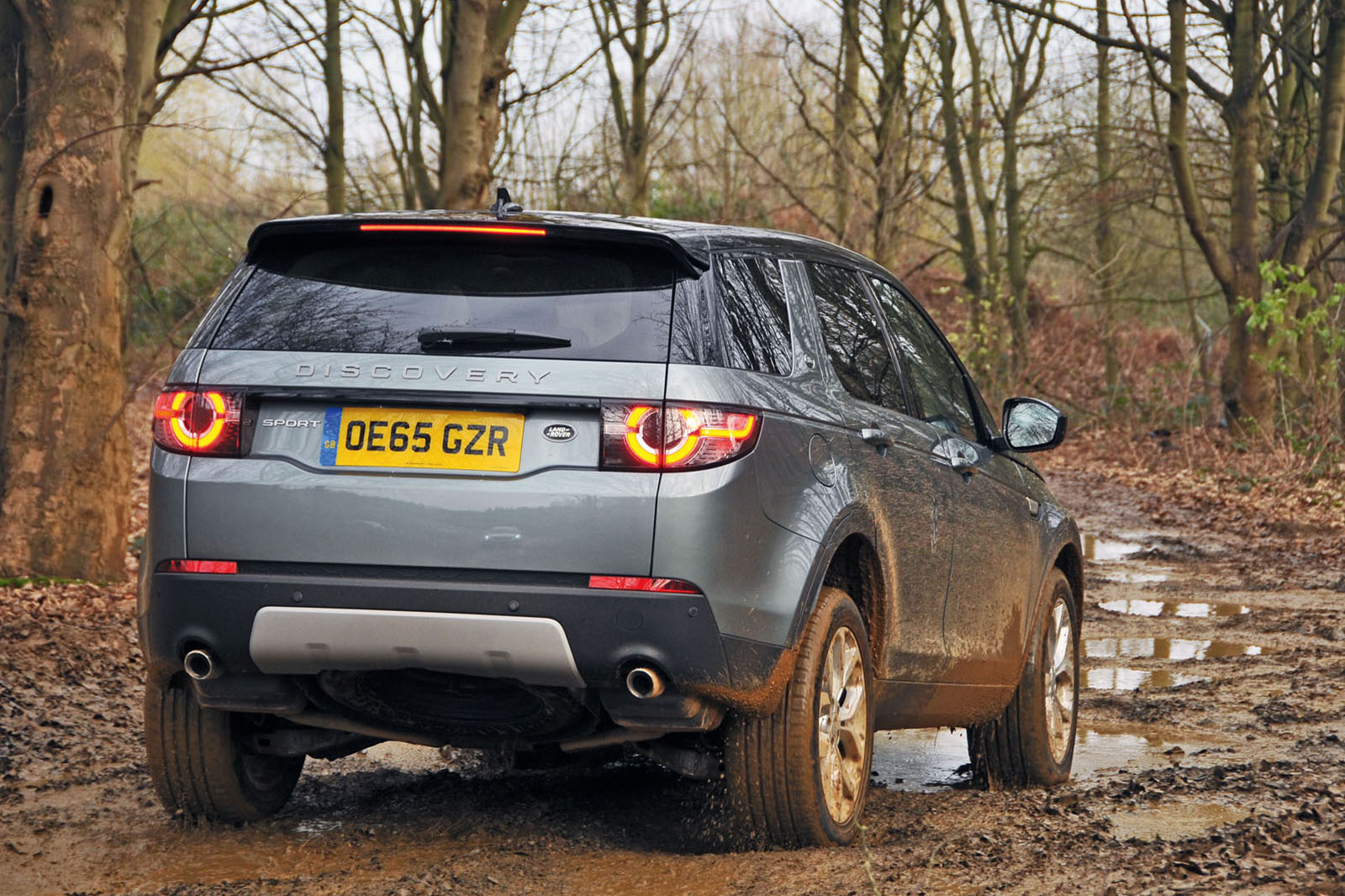 Disco sport goodbye 459