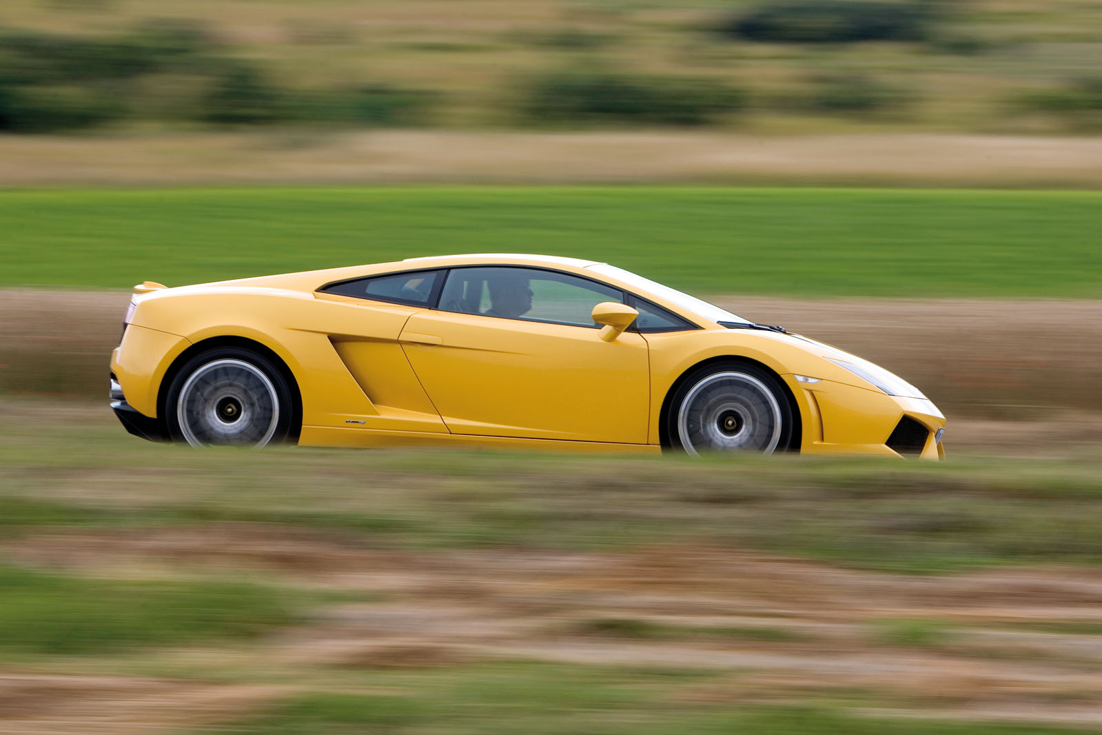 Gallardo 0633
