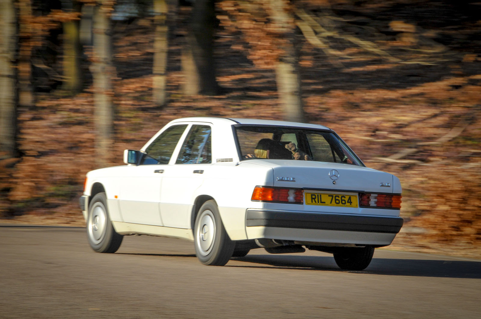 Merc 190 e web 0273