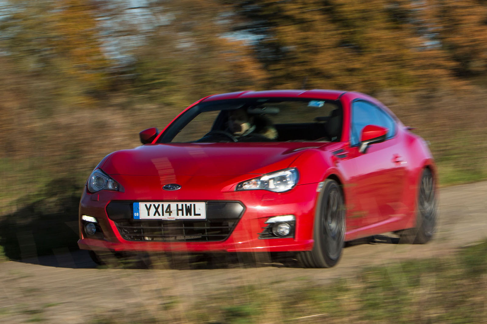 Our cars 2016 2596 1