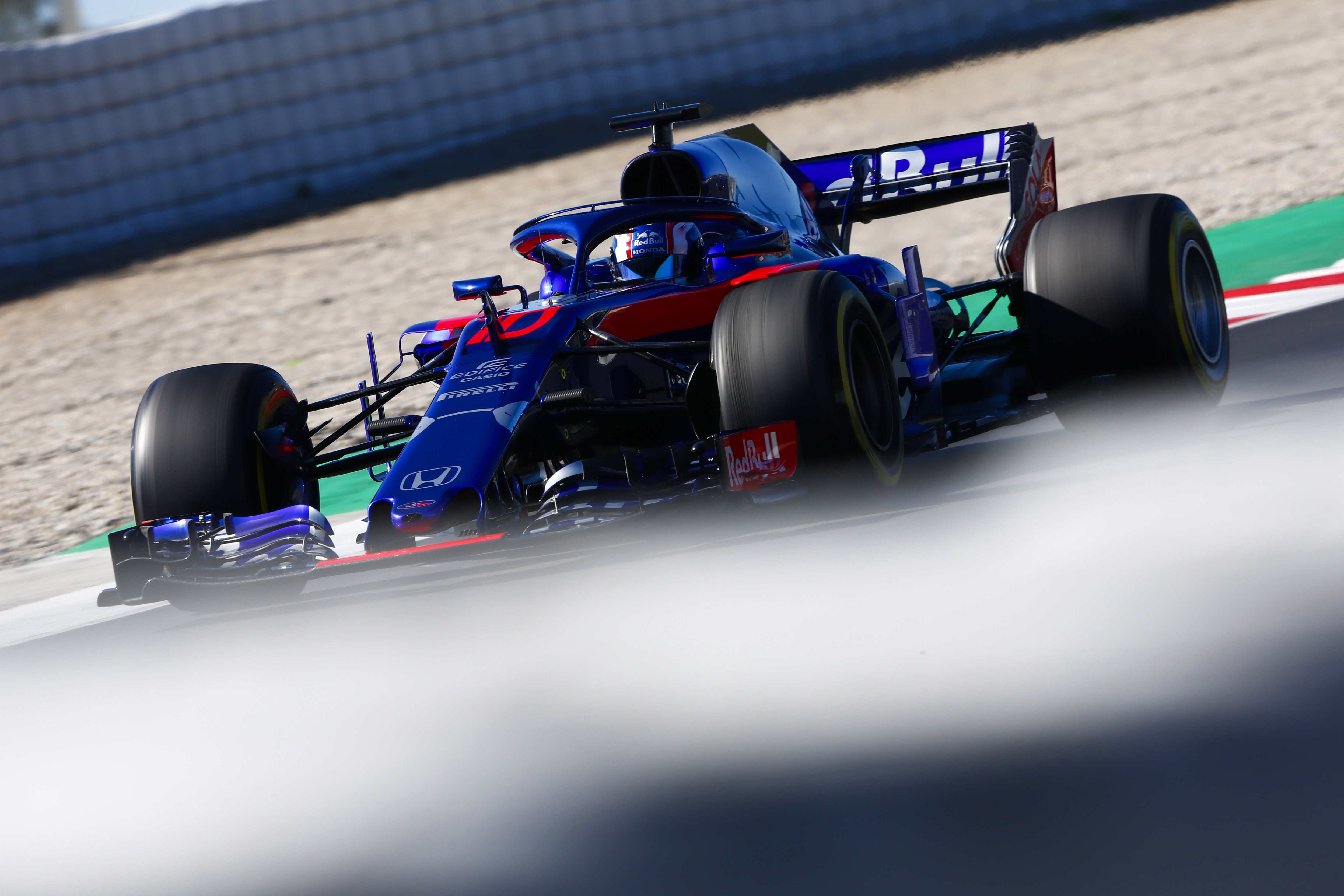 Toro rosso 3931 0