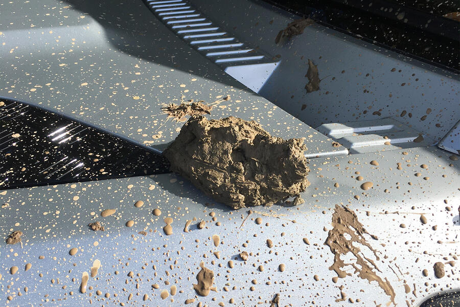 3 Mud on land rover