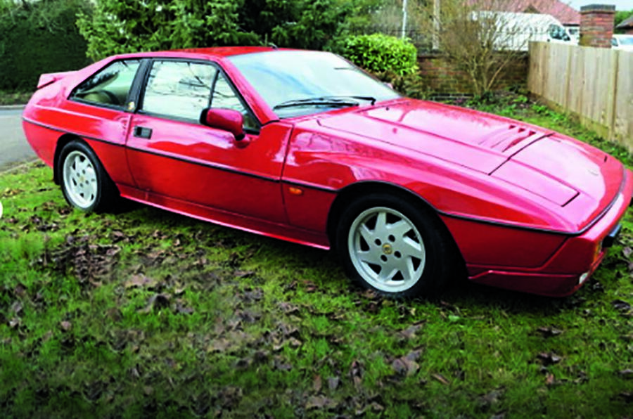 Lotus excelv2