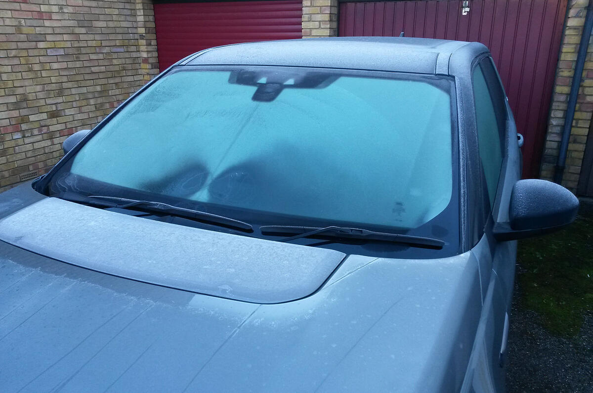 Disco update 23rd 051 1