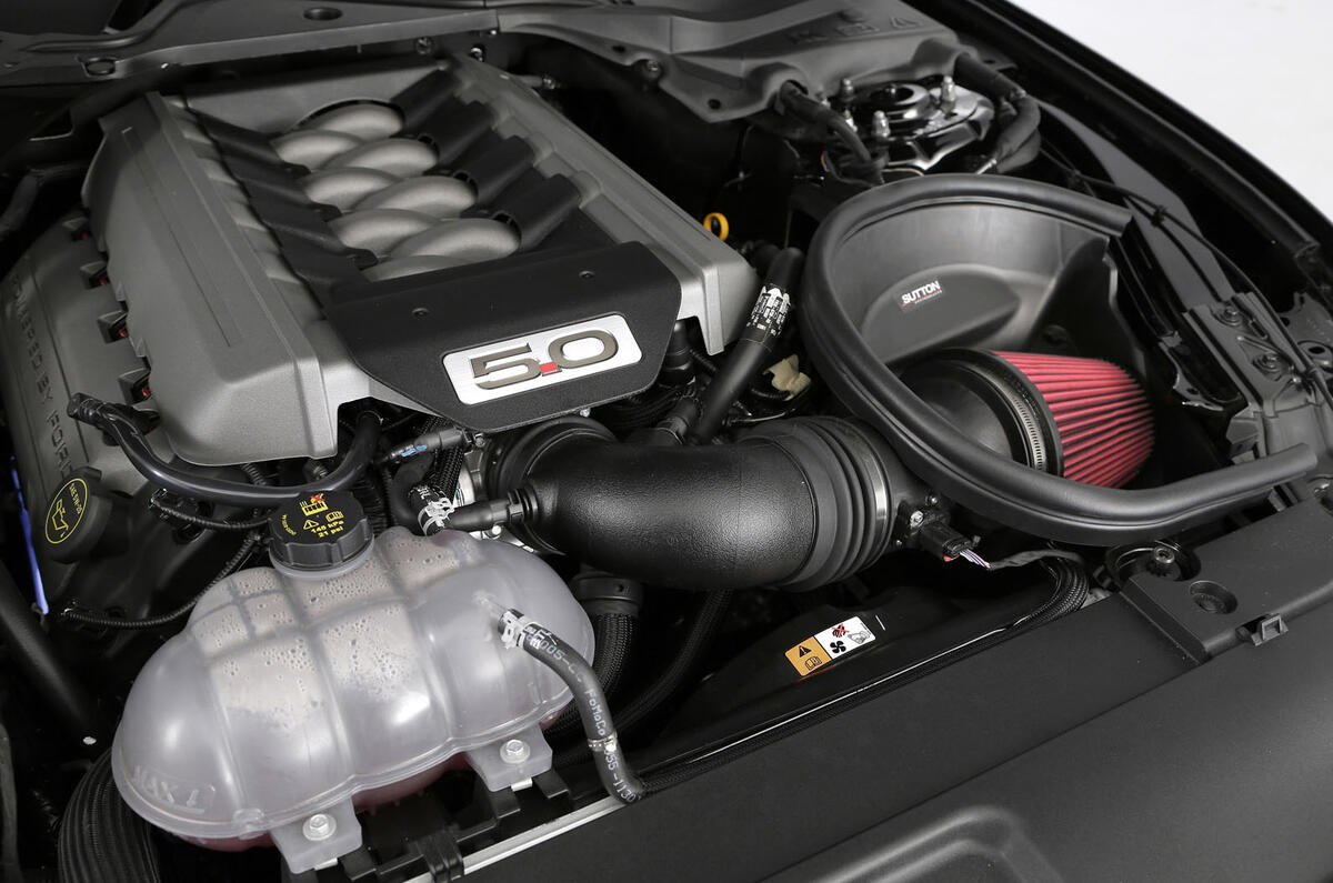 Sutton stang 2016 607