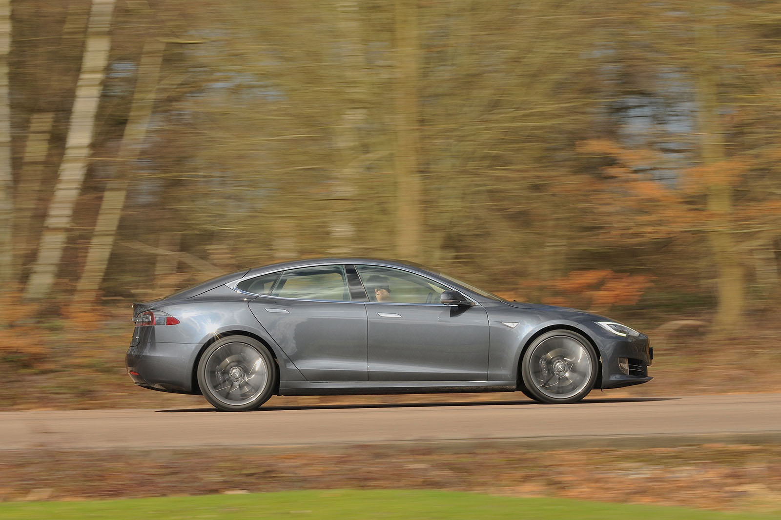 Tesla Model S 95d side profile